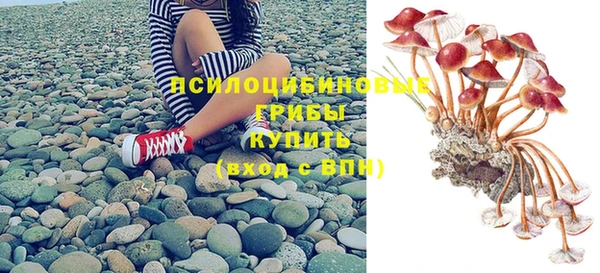 спиды Инсар