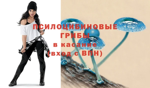 спиды Инсар