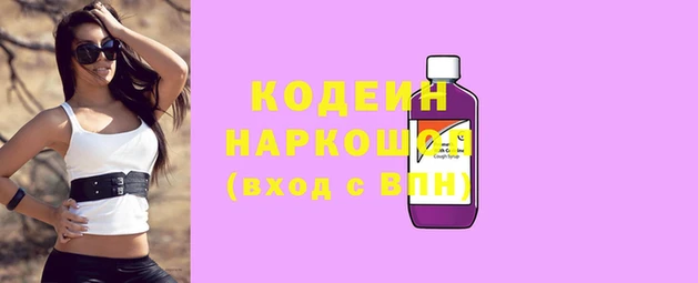 спиды Инсар