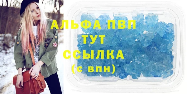 спиды Инсар