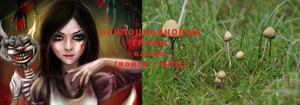 спиды Инсар