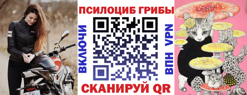 Галлюциногенные грибы Psilocybine cubensis  магазин продажи наркотиков  Элиста 