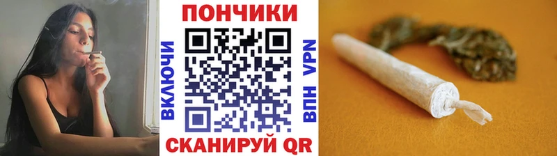 Бошки Шишки марихуана  Элиста 
